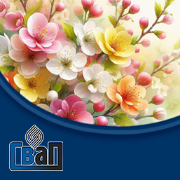 С Международным Женским Днем!