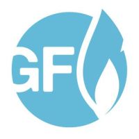 INTERNATIONAL GAS FORUM 2015 IN SAINT PETERSBURG